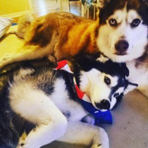 dallas and rocket