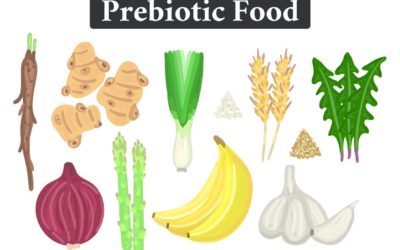 The Top 10 Best Prebiotic Foods to Consume