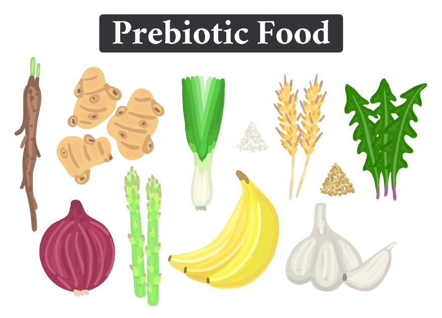 The Top 10 Best Prebiotic Foods to Consume