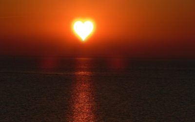 Vitamin D Benefits & Your Immune System